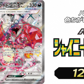 shiny treasure